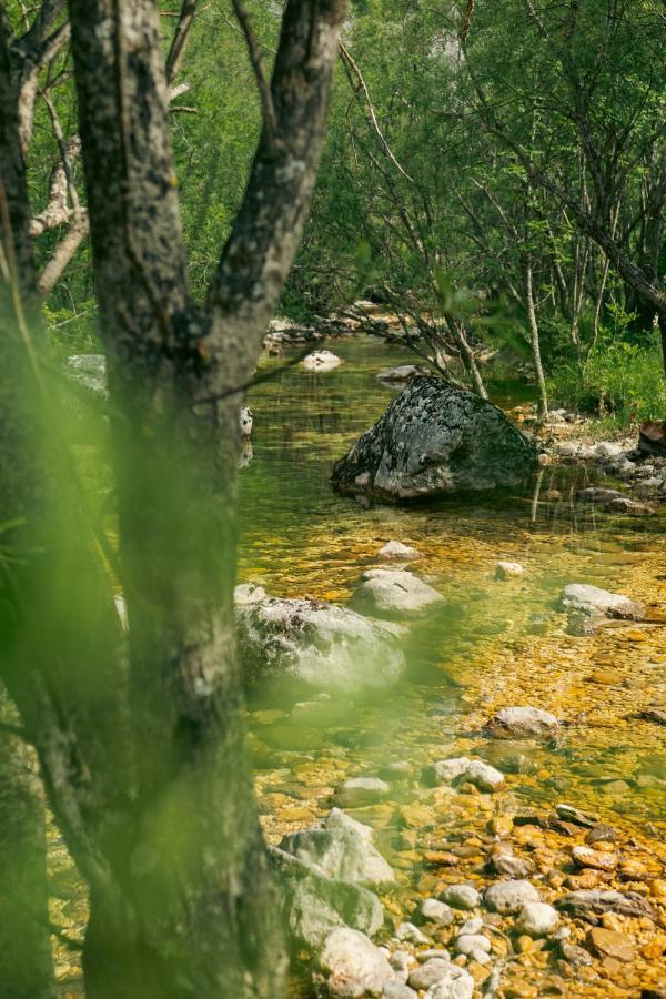 Natures Escape Kozarica Savnik Екстер'єр фото